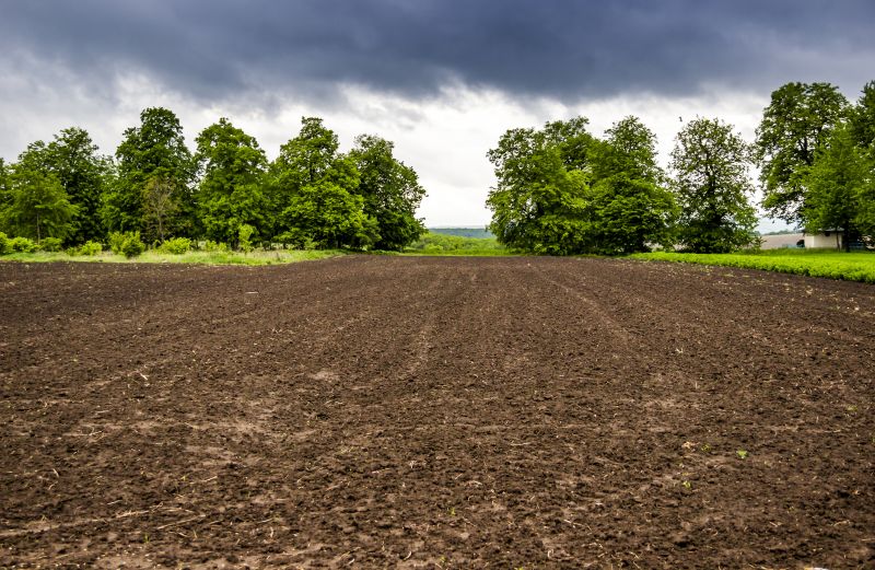 Pasture Clearing in Marietta, GA